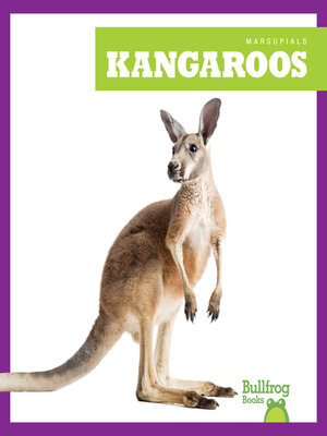 cover image of Kangaroos